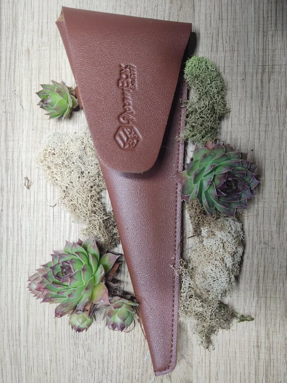 Groombox Frost Straight Scissors